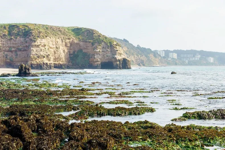 30850 quirilluca maratue.webp