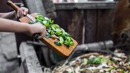 Mitad de los chilenos tiran comida a la basura al menos una vez por semana, revela estudio