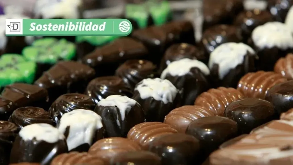Bean to bar: Revolución del chocolate sustentable llega a Chile para reducir daños ambientales