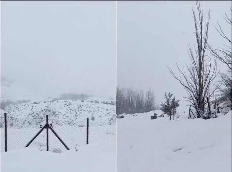 image 8 e1716414849267.jpg