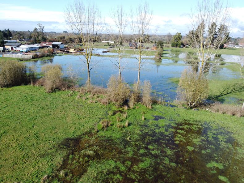 Lluvias dejan campos y plantaciones inundadas por suelos saturados de agua - Agencia Uno