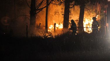Descontrol de incendios forestales: Decretan toque de queda en las comunas de la provincia de Concepción