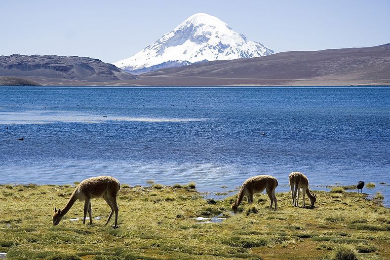 1200px Chungara_Lake_and_Volcan_Sajama_Chile_Luca_Galuzzi_2006.jpg