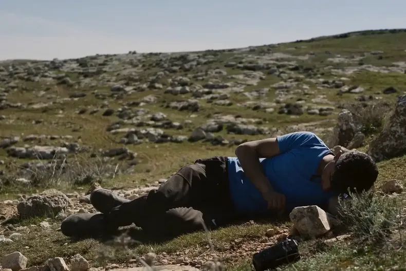 12218 no other land.webp