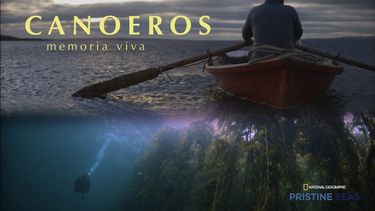 El Desconcierto | Canoeros NG scaled e1653076047770.jpg