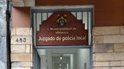 Conaf detectó tala ilegal en bosques nativos del proyecto ubicado junto al Lago Villarrica / Cedida