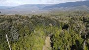 El bosque nativo ayuda a Chile a protegerse de las lluvias extremas - Imagen cedida
