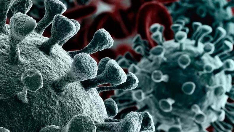 20200214071920502 0 1628012 1 e1584473707558.jpg