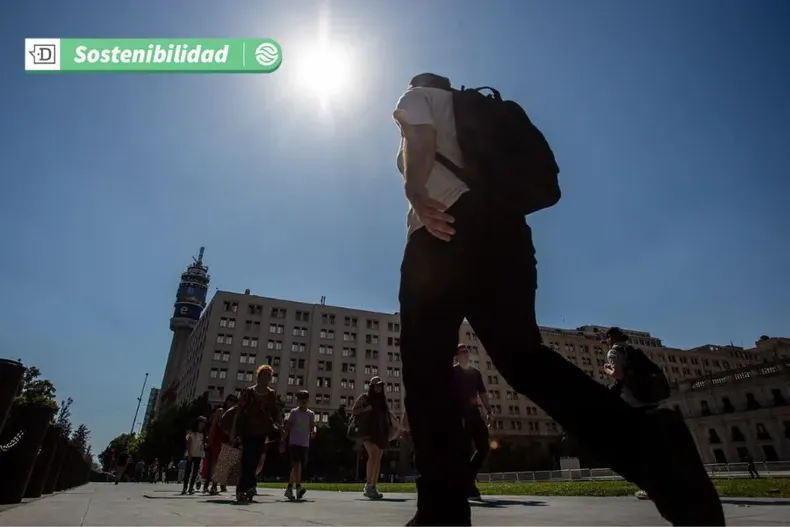 9588 despavimentar.webp