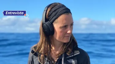 oceanografa susannah buchan: la ruta maritima de dominga se solapa directamente con las zonas de alimentacion de las ballenas