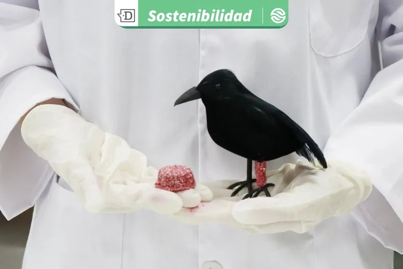 20452 diseno sin titulo 2025 08 07t144137.webp