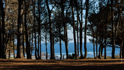 Parque Comunal El Canelo y El Canelillo en Algarrobo.