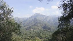 Comunidad frena minera en cercanías de la última gran extensión de flora nativa de la RM
