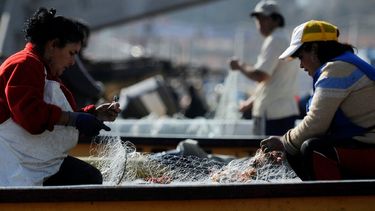 Mujeres de la Pesca y Cuenta Pública: “Esperamos una ley de pesca con enfoque de género”