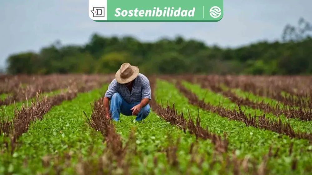 Nuevo libro advierte que Chile enfrentará escasez de fósforo al 2050: Es clave recuperarlo desde aguas servidas