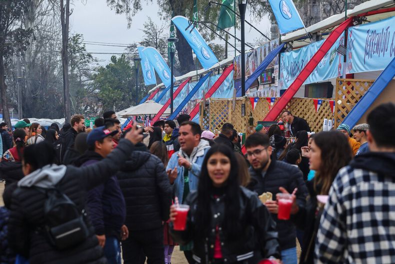 fondas parque ohiggins con balance positivo asistieron mas de 50 mil personas diarias.jpg