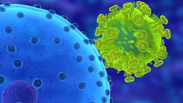 RELATOS DE PLAGAS Y EPIDEMIAS| Entidades