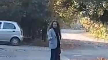 VIDEO| Mujer denunció a vecina que disparó con un rifle a su perro en condominio de Chicureo