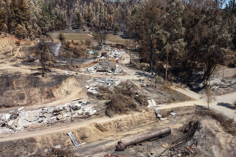 ministro de agricultura asegura que intencionalidad de los incendios es del 40.jpg