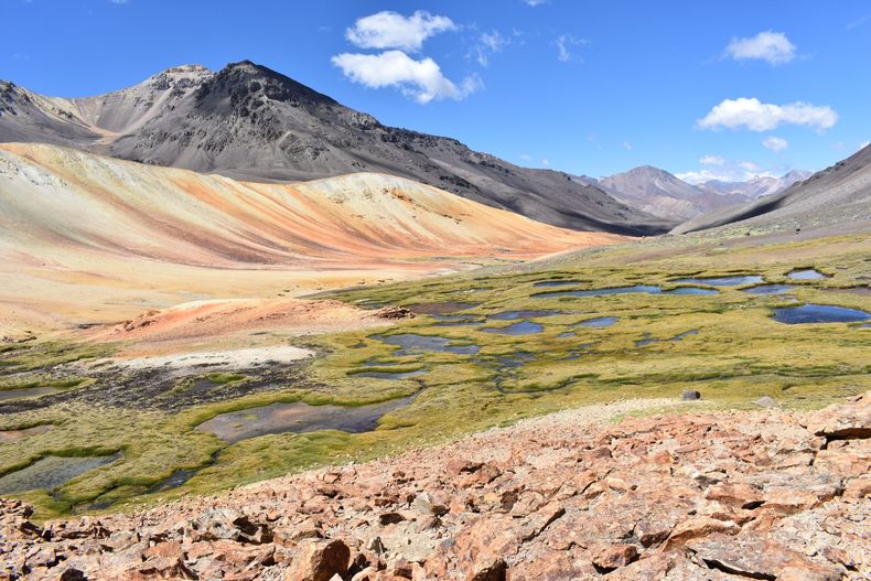 Bofedal_en_estero_Chilon_comuna_de_Putaendo_43409655162 1 scaled.jpg