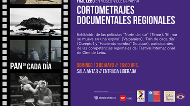 Cortometrajes documentales del Festival de Cine de Lebu se exhibirán este domingo en el Museo Violeta Parra