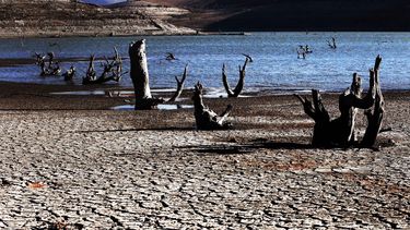El Desconcierto | Embalse Coquimbo scaled.jpg