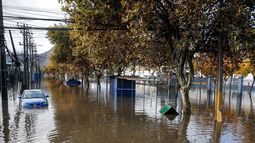 Convertir las ciudades en esponja: Llaman a instalar infraestructura verde contra inundaciones