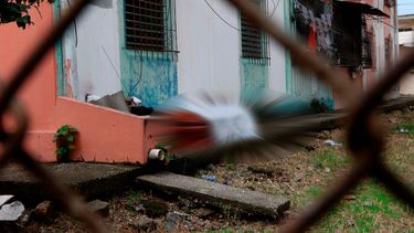 Ecuador registra 1.569 fallecidos y 31.881 positivos por COVID-19