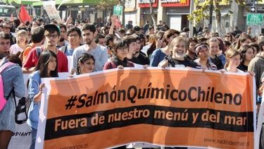 El Desconcierto | Salmonera.jpg