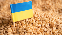 Estados Unidos insta a Rusia a volver al acuerdo de exportación de cereal ucraniano