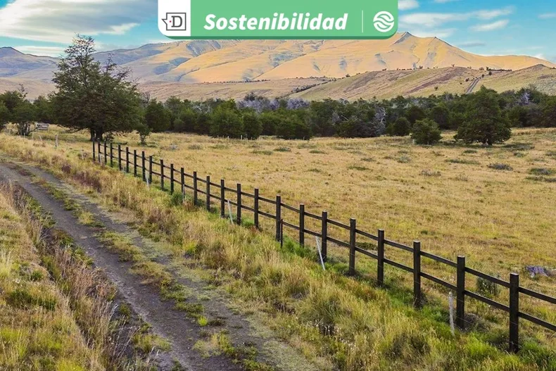 30603 diseno sin titulo 2026 02 27t130359.webp