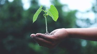 Alerta climática: El Desconcierto y FIMA se unen en contra de la crisis ecológica
