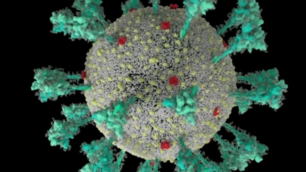 Japón golpeado nuevamente por la pandemia: Estamos viendo un incremento a una velocidad sin precedentes