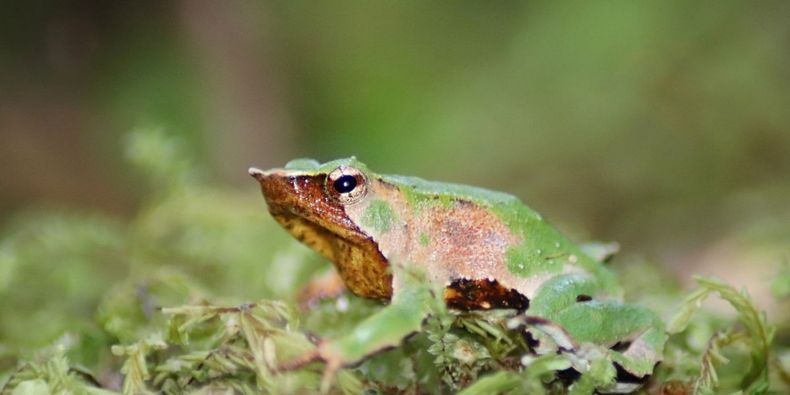 Diseño sin título (8)