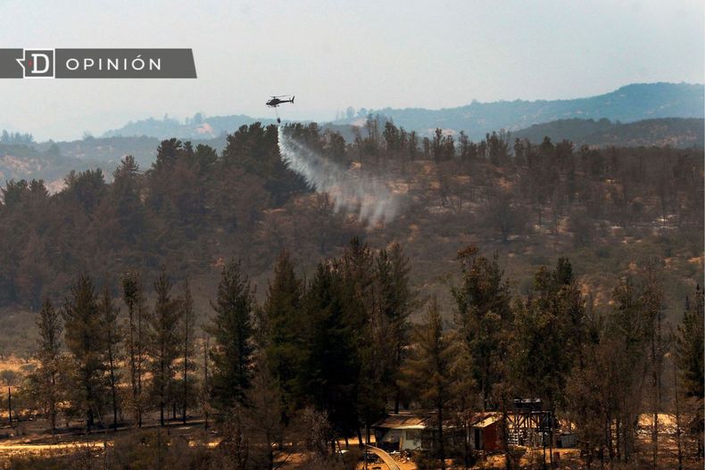 7931 imagen de un helicoptero tirando agua en un bosque.jpg
