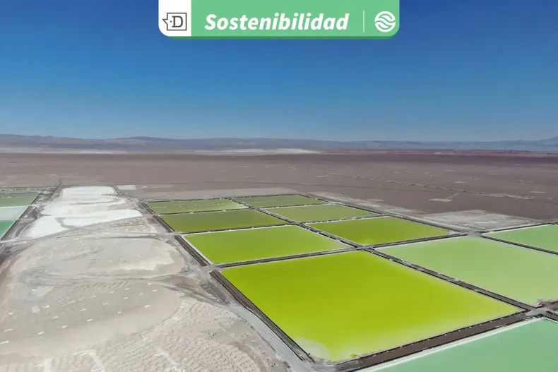 23016 diseno sin titulo 2025 09 23t171205.webp