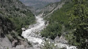 Regular relaves mineros y ampliar zonas de protección de ribera con vegetación nativa puede disminuir transporte de contaminantes