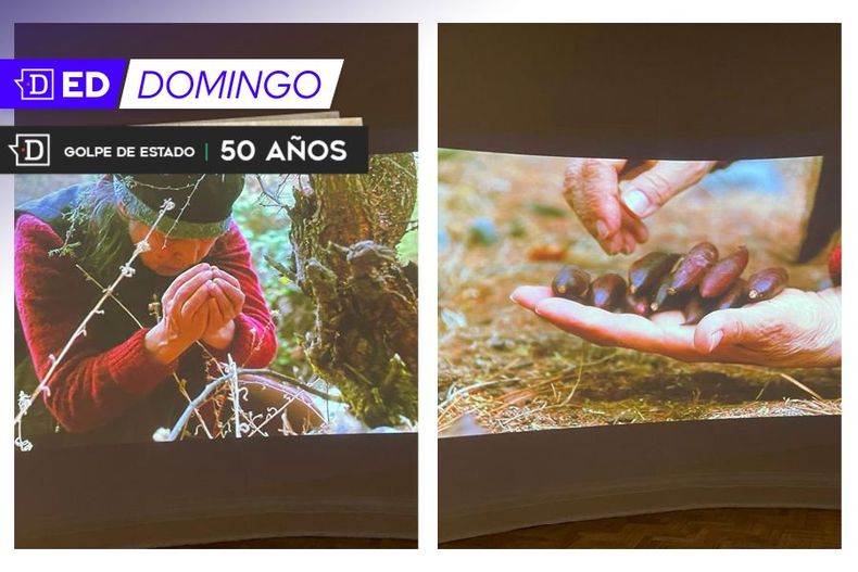 Diseno sin titulo 1.jpg