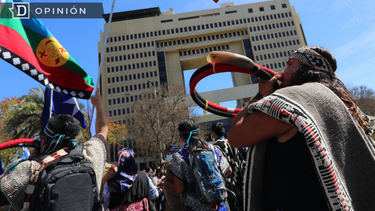 El Desconcierto | Pueblo Mapuche protesta e1708618901912.png