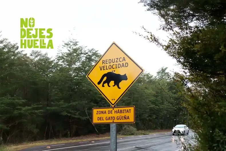 10062 reducir velocidad.webp