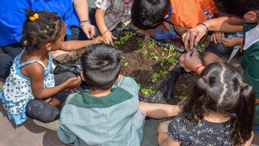 Educación ambiental en escuelas de Chile.&nbsp;