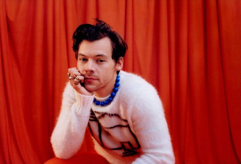 harry styles e1653078900616.jpg