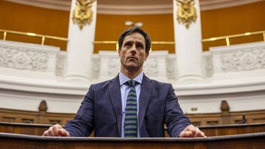 Las muchas caras de Luis Silva