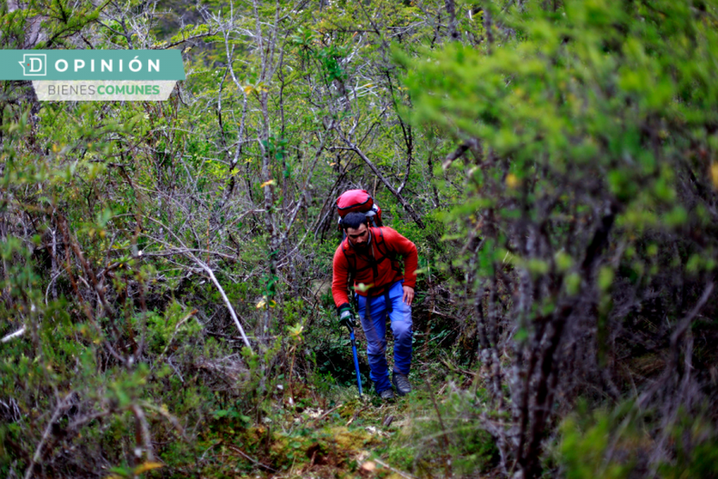 Naturaleza y salud e1716139355892.png