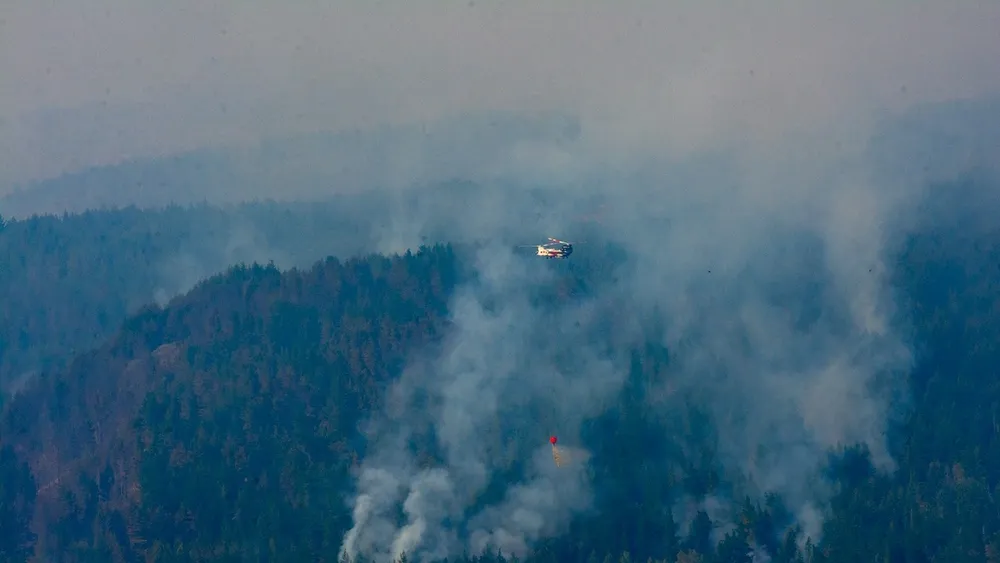 Patagonia sigue ardiendo: Incendios consumen ecosistemas únicos compartidos con Chile