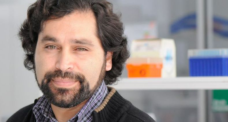 Jonas Chnaiderman 1.jpg
