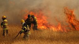 Le cayó balde de agua desde avión mientras combatía incendio y murió: Conaf deberá pagarle a familia $120 millones