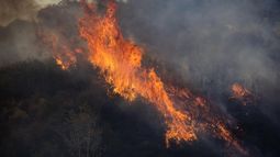 Violencia en USA: Dos bomberos mueren en Idaho tras tiroteo en medio de incendio forestal