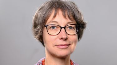 Transformación socioecológica, protección de la democracia y los derechos humanos: Presidenta de la Fundación Heinrich Böll visita Chile