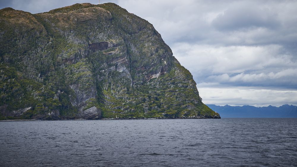 ¿Nuevo Parque Nacional para Magallanes? Tompkins dona 90 mil hectáreas en Cabo Froward